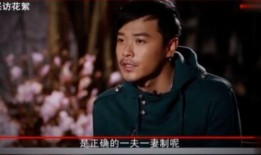 娱乐大爆料陈思诚是谁啊,娱乐大爆料中的影视界领军人物