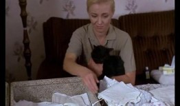 电影贪吃树在线观看,奇幻冒险，味蕾之旅